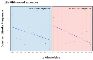 Figur som viser spekkhogger svømmeaktivitet før og under lydeksponering.